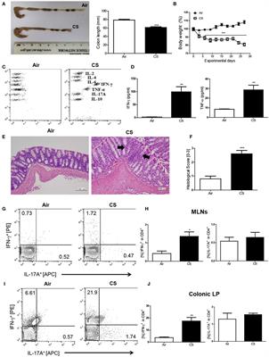 Cigarette Smoking Triggers Colitis by IFN-γ+ CD4+ T Cells